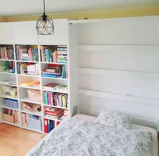 - Quiet And Cosy With Cat And Garden Oslo