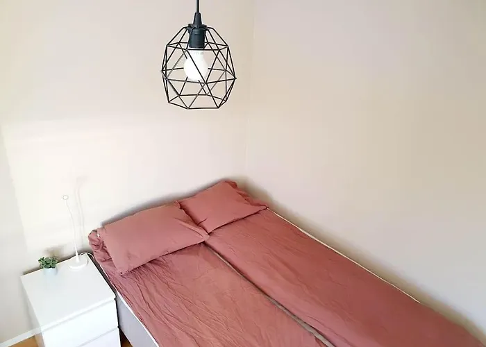 - Quiet And Cosy With Cat And Garden